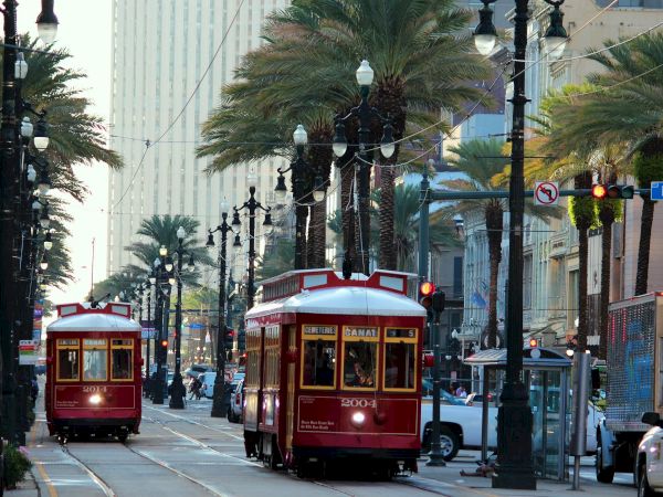 Two red streetcars are traveling on a palm tree-lined street in a city setting under a clear sky.