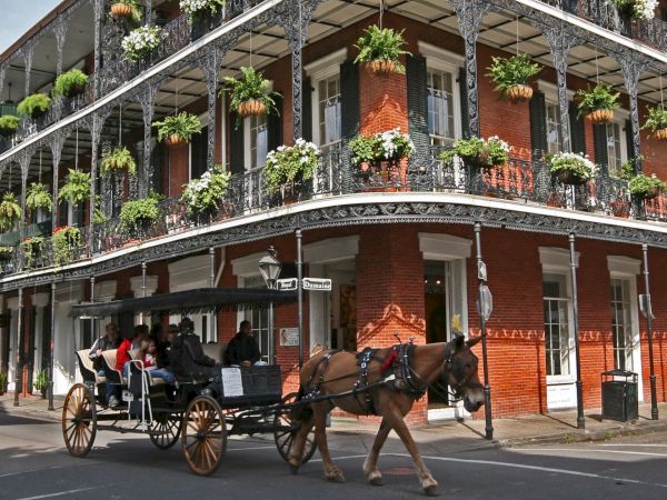 A horse-drawn carriage passes a historic building with ornate ironwork and flower-adorned balconies under a clear sky.