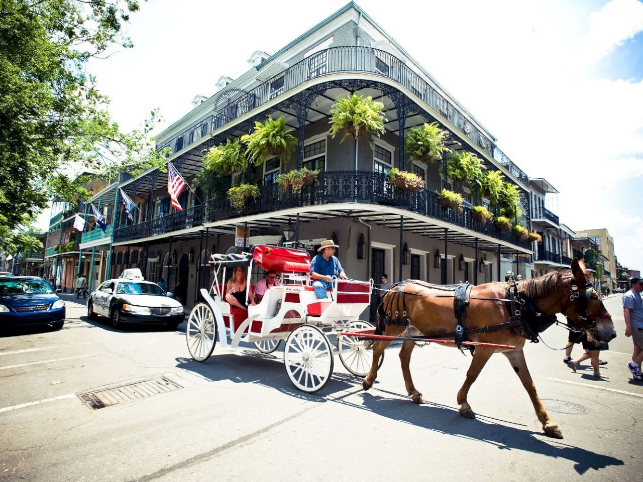 A horse-drawn carriage passes in front of a multi-story building with balconies and potted plants.